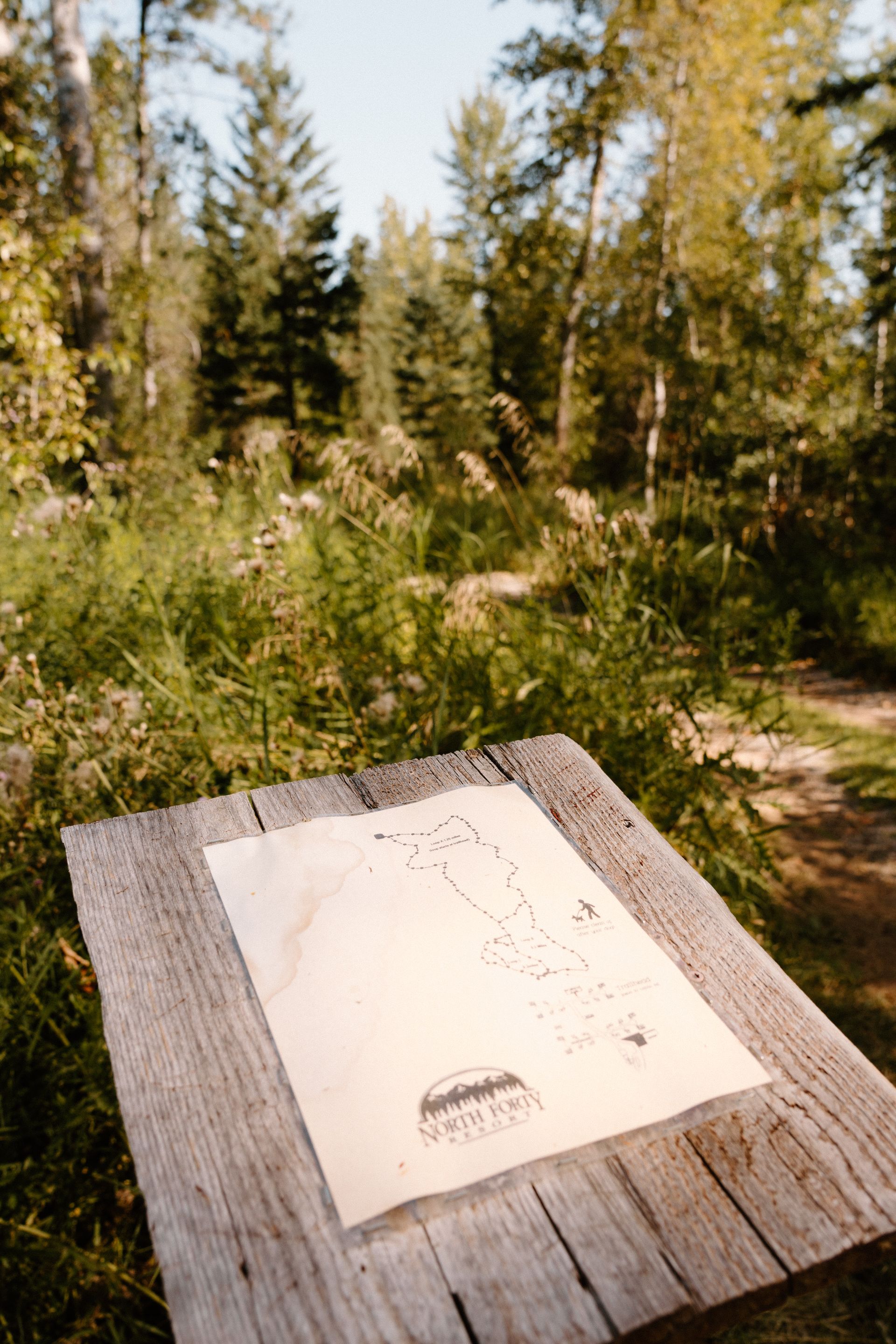 A piece of paper is sitting on top of a wooden table in the woods.