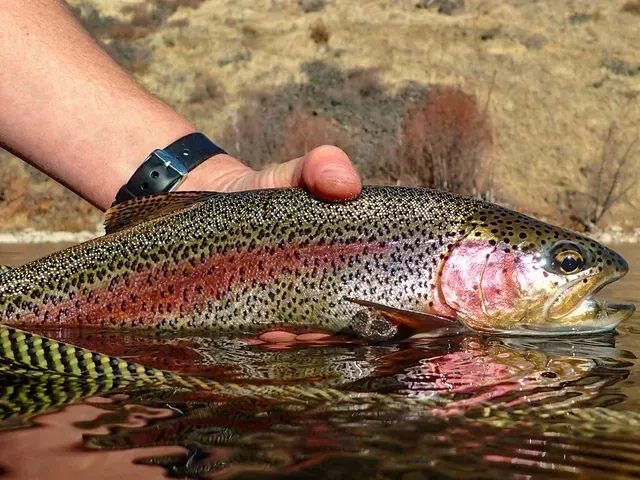 Fishing