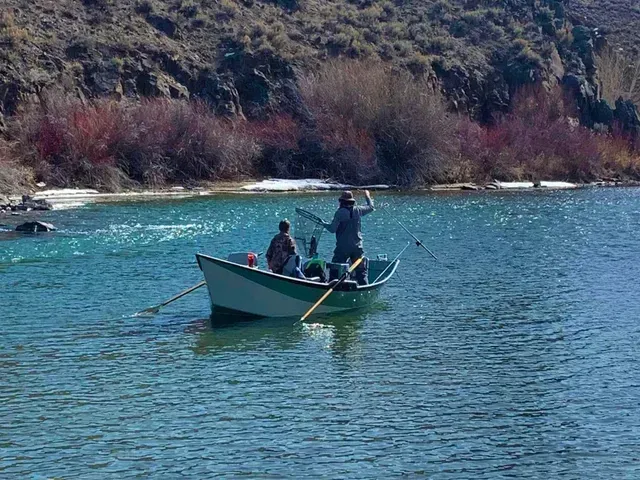 Fishing