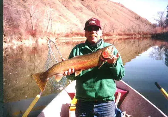 Fishing