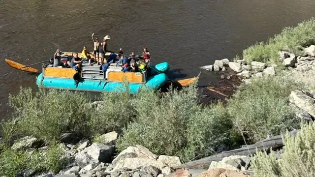 Sweep Boat Specials