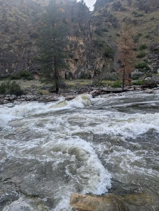 River Trips