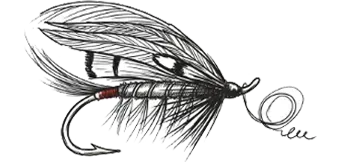 Guided Fishing