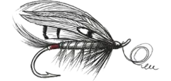 Guided Fishing
