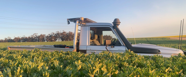 Contract Sowing & Seeding - Bingham Agriculture
