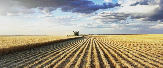 Farm Investment - Bingham Agriculture