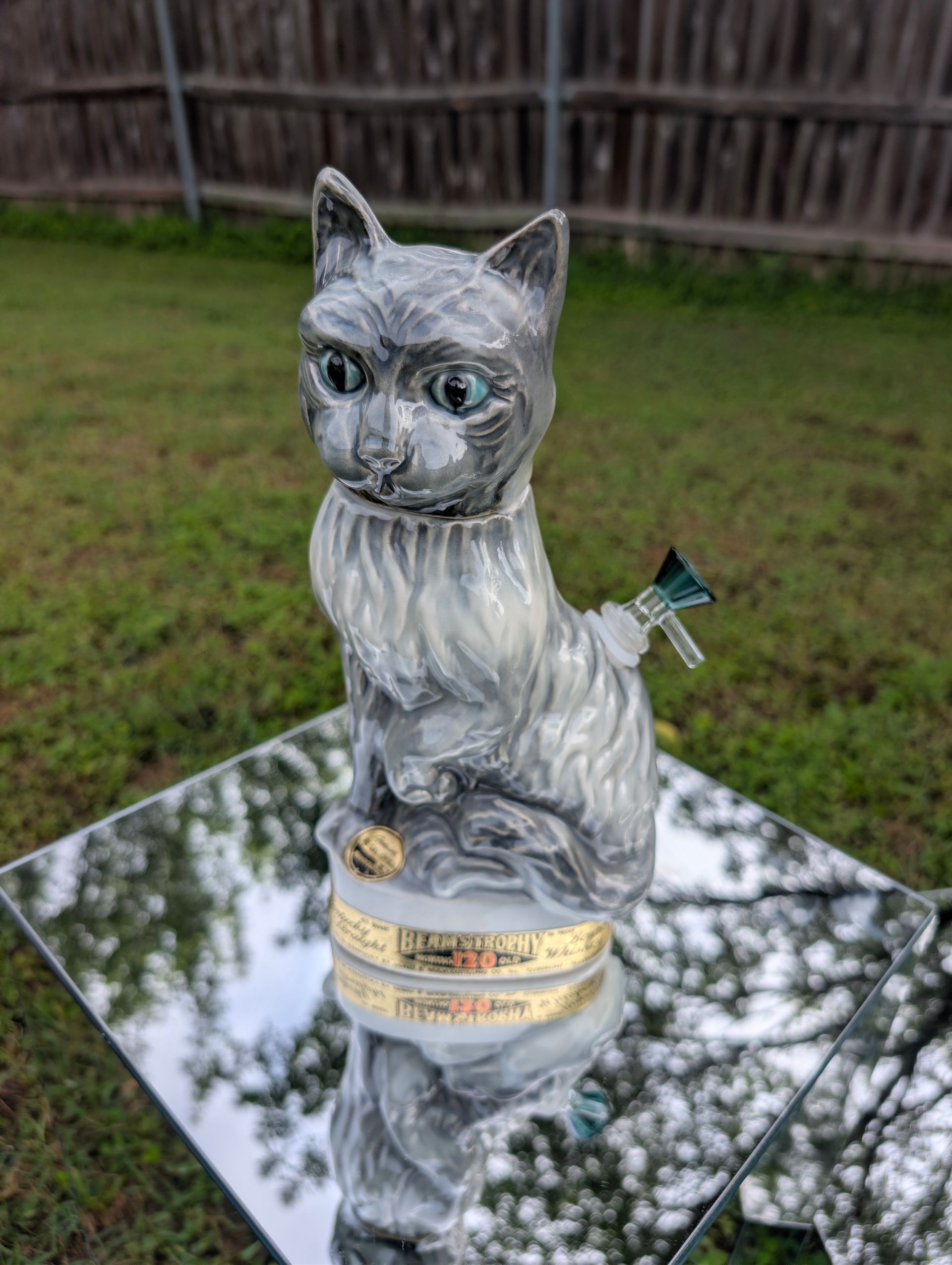 Purr-fectly Lit