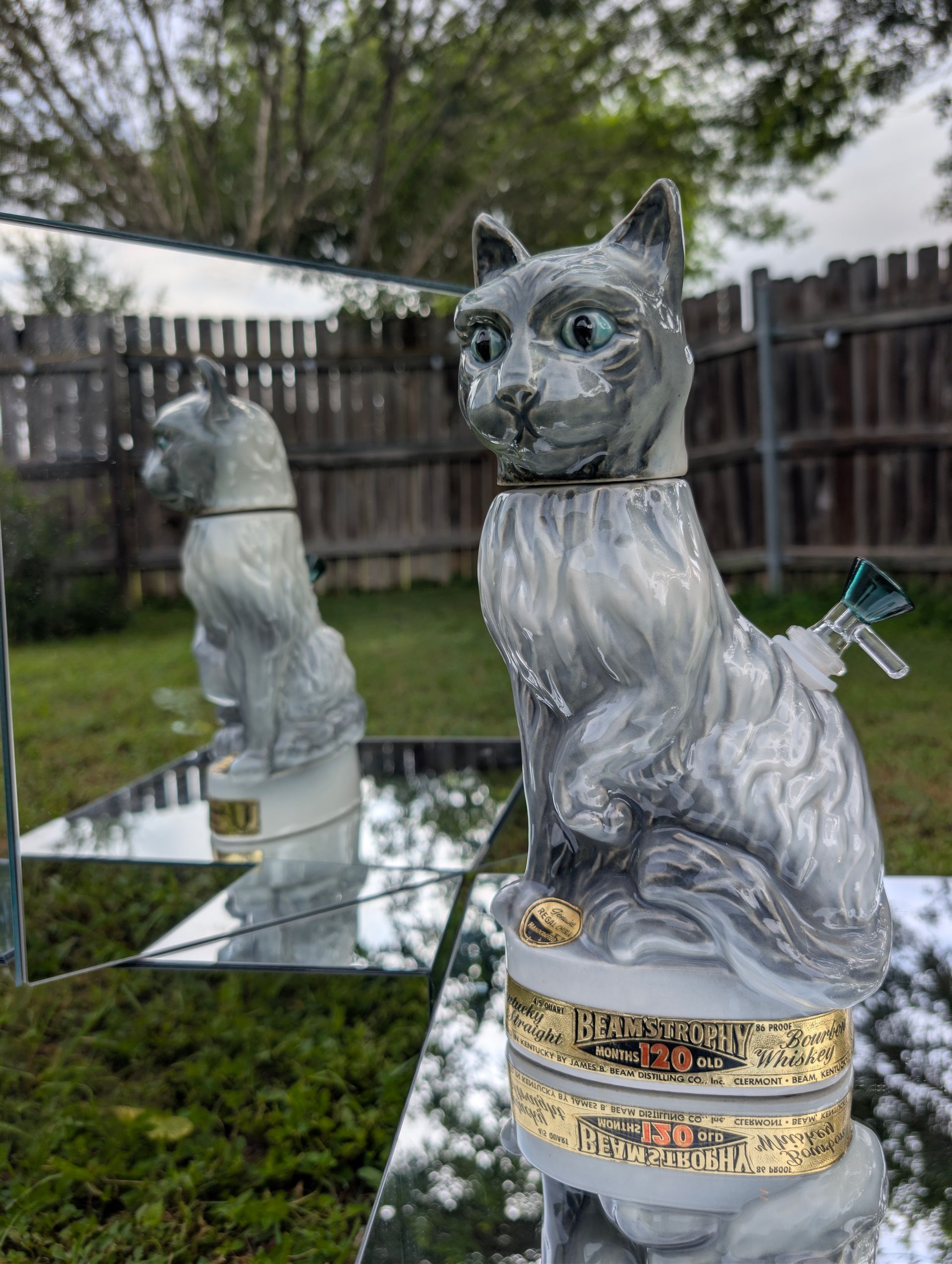 Purr-fectly Lit