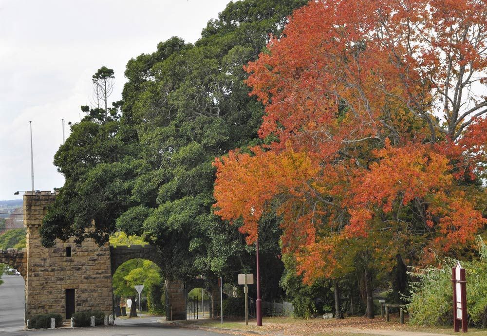 Stone Gate By The Showground In Nowra — Graphic Designer In Nowra, QLD