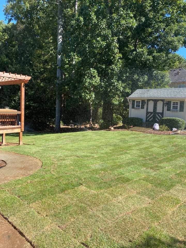 Sunny backyard with green lawn, tall trees, a small gazebo, and a white house in the background