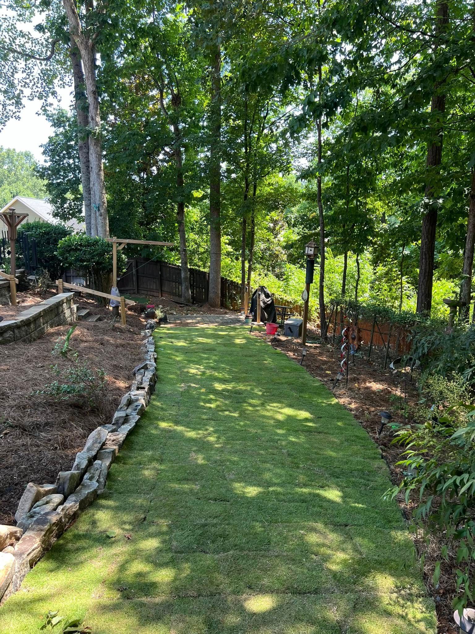 Grassy path through a wooded garden with stone edging and trees in dappled sunlight