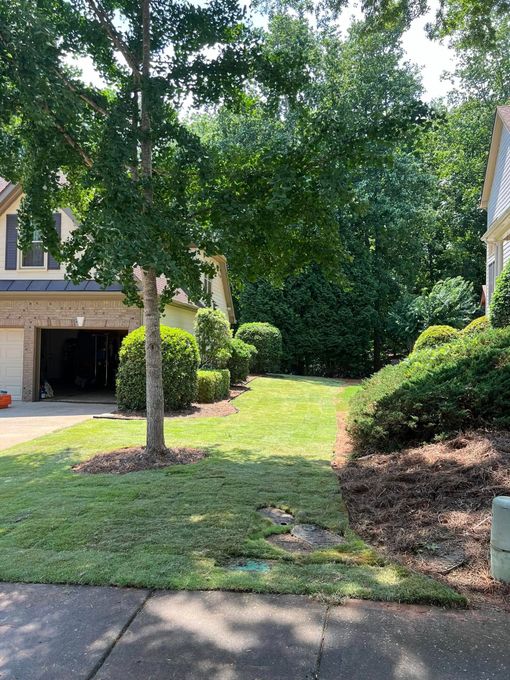 Residential front yard with a tree-lined grassy slope beside a driveway and house garage