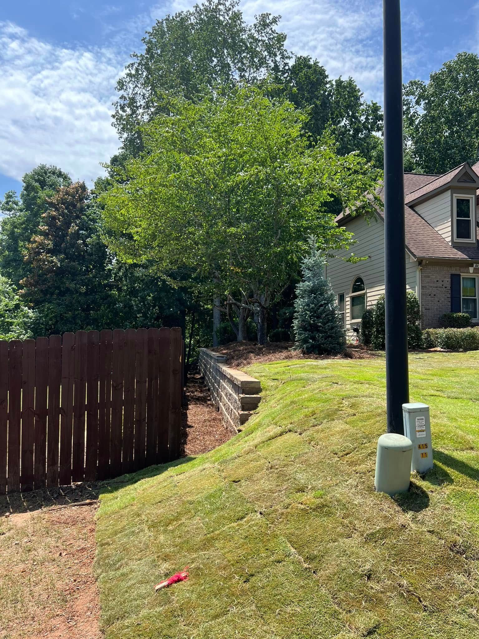 Backyard with grassy slope, wooden fence, tall trees, and a house partly visible on the right.