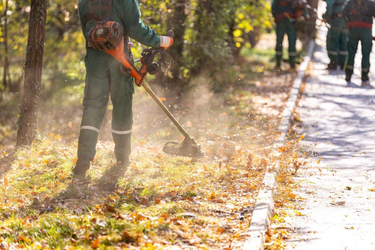 Workers using leaf blowers clearing fallen leaves along a sunlit sidewalk in autumn