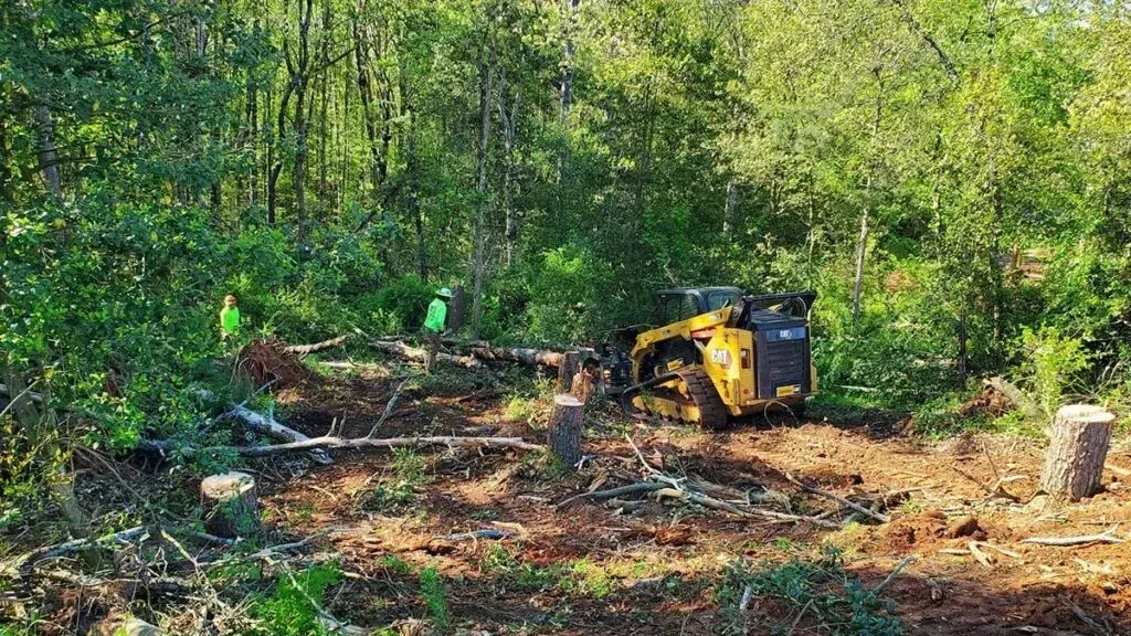 Yellow excavator clearing a wooded area with cut logs and brush scattered around