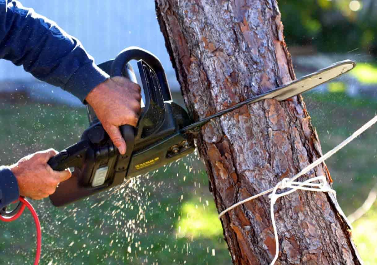 Person using a chainsaw to cut a tree trunk outdoors, with sawdust flying.