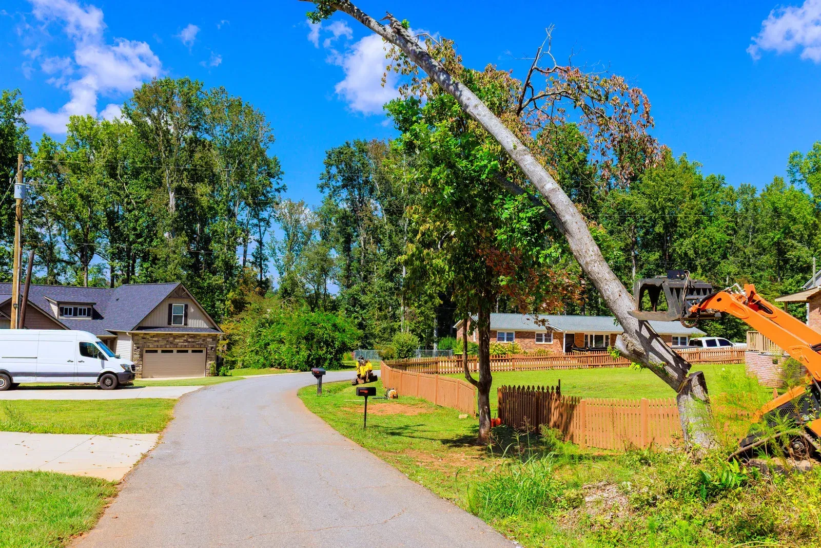 Tree being cut near a suburban street, with a fallen trunk, orange excavator, and houses nearby
