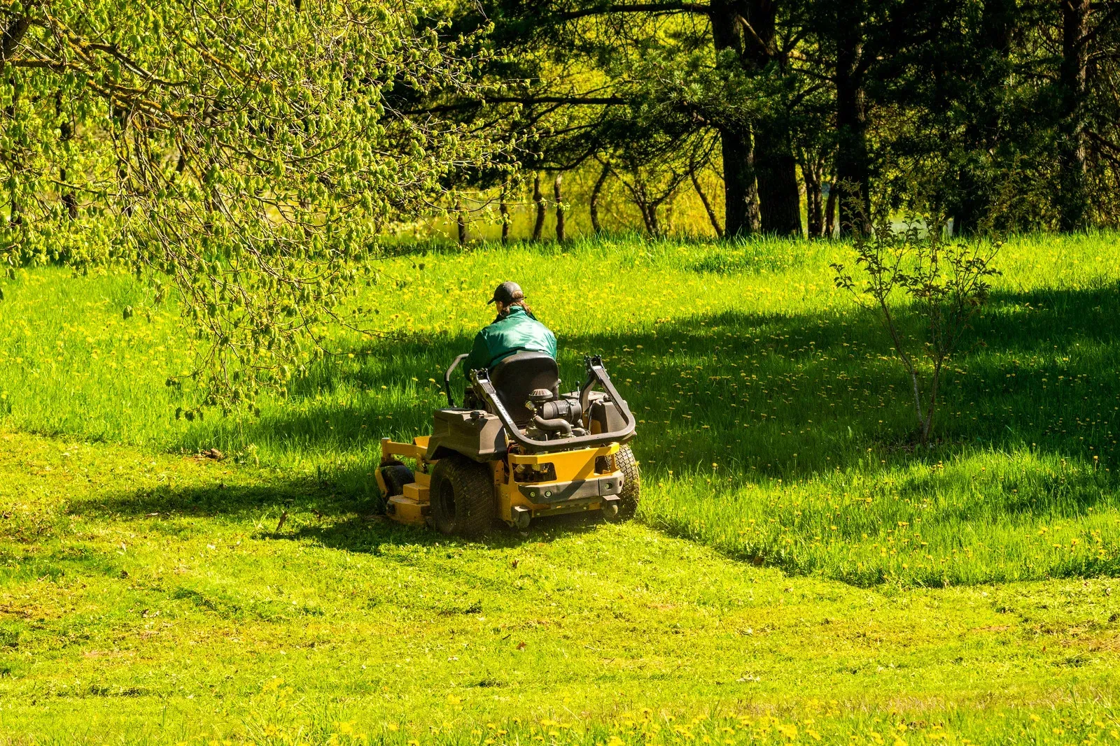 Person riding a lawn mower through a bright green grassy field near trees