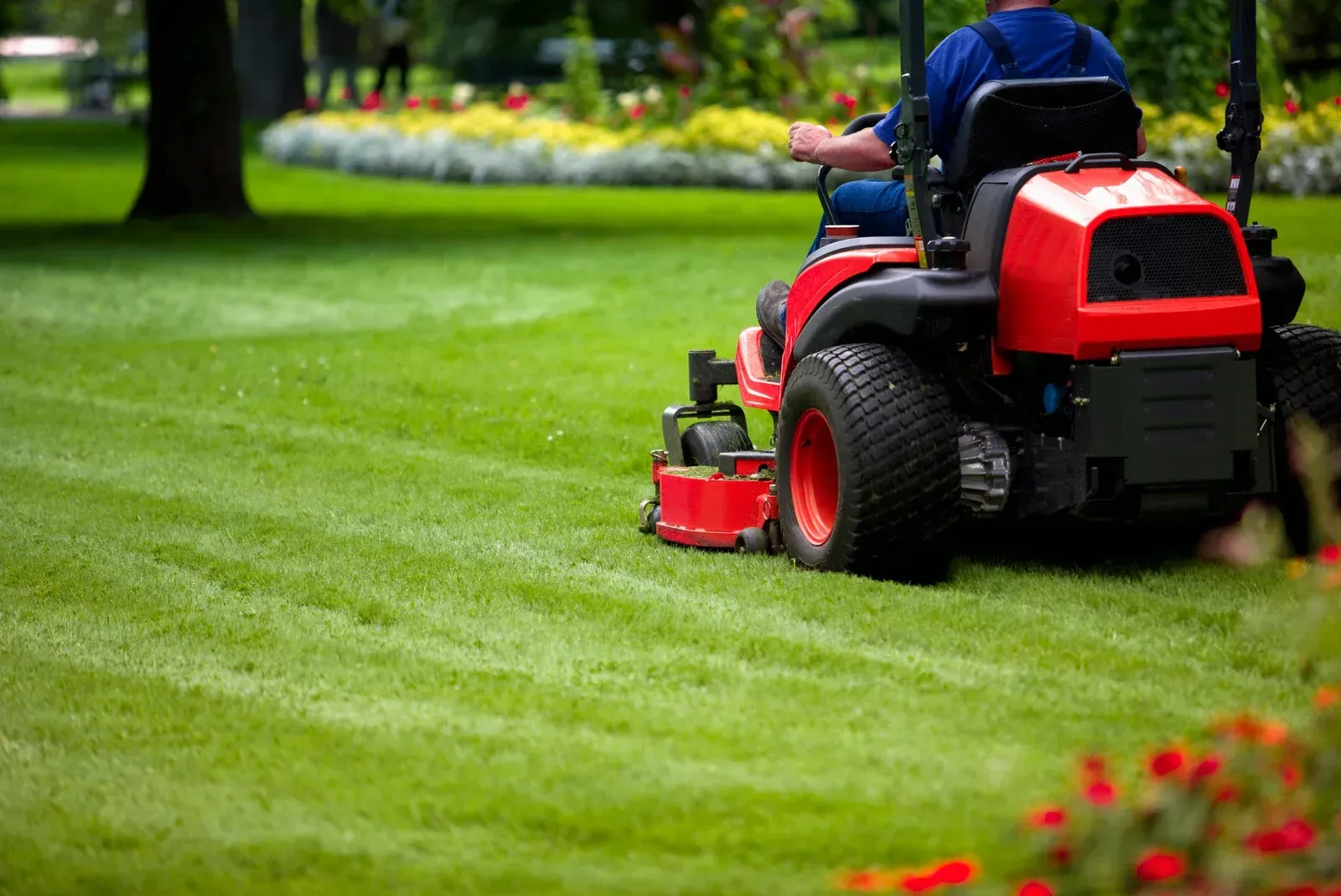 Person mowing a bright green lawn with a red riding mower in a park-like setting