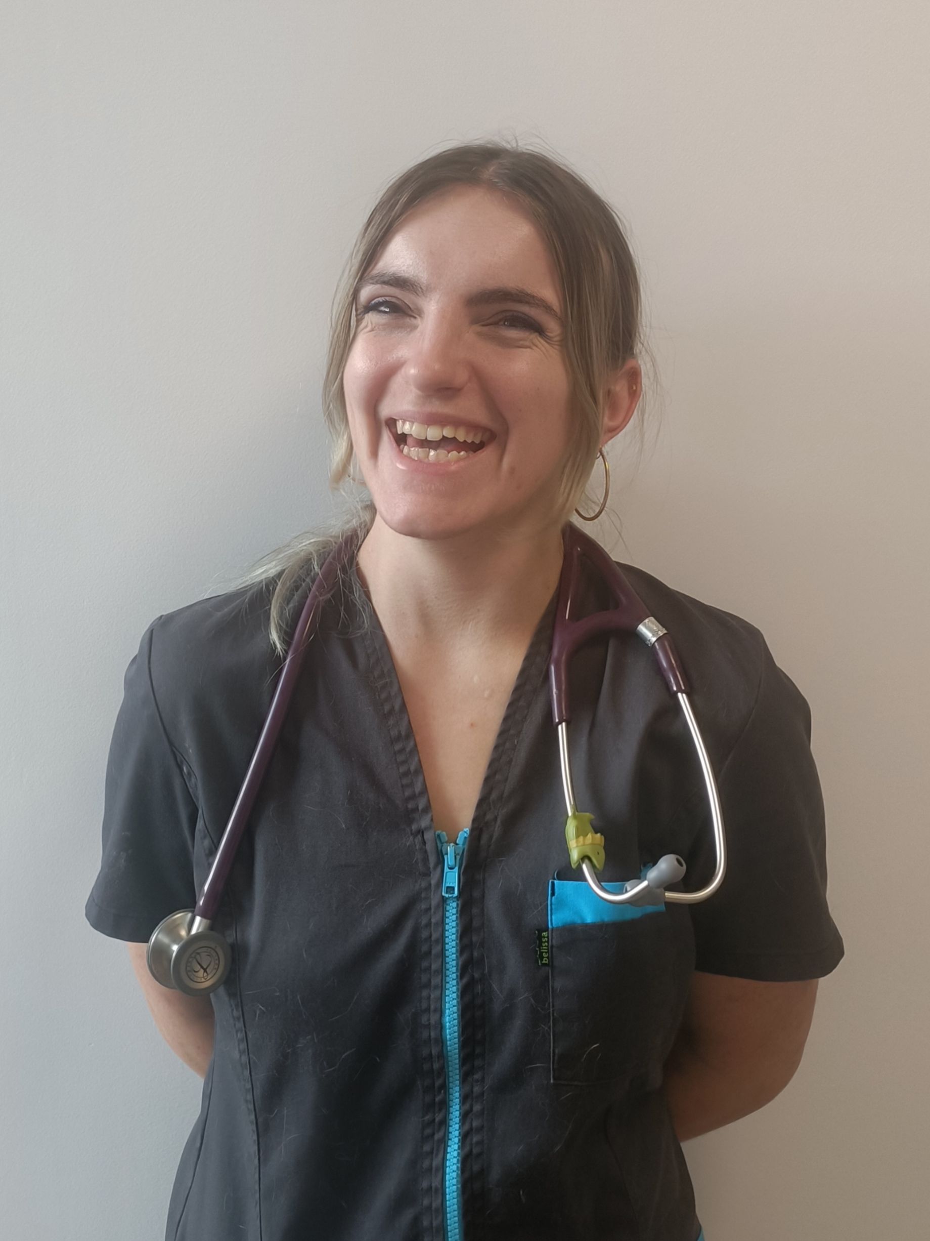 veterinaire saint romain en gal