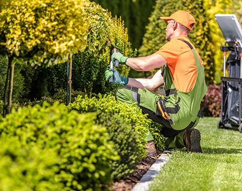 Gardener Trimming Plants | Eastlake, OH | Willoscape Landscape Management Gardener Trimming Plants | Eastlake, OH | Willoscape Landscape Management