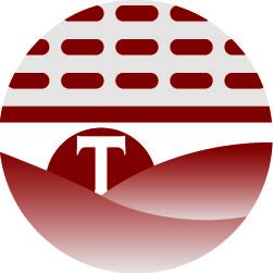 logo Torsello