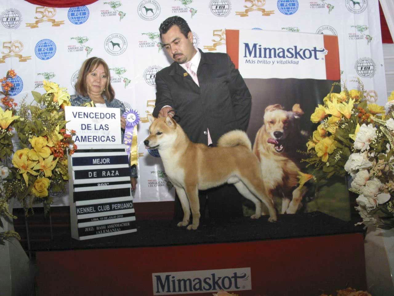 criadero de shiba inu