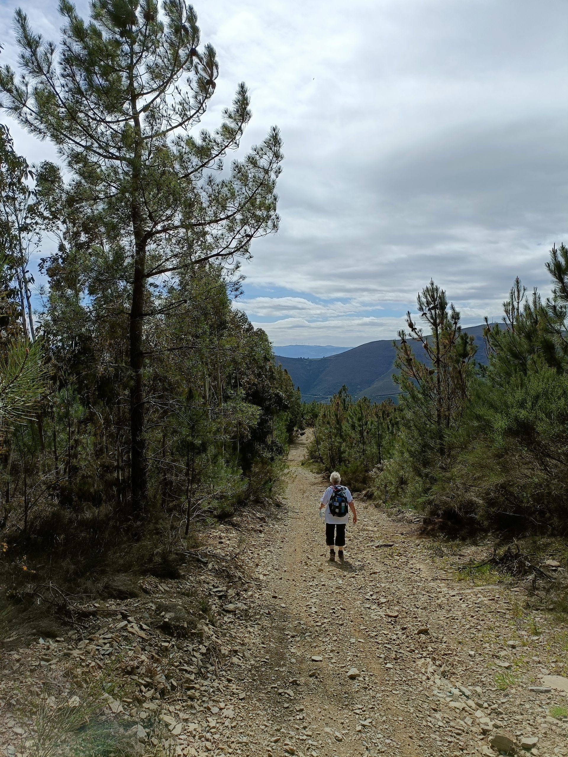 Mesao Provesende Walk Sao Domingos