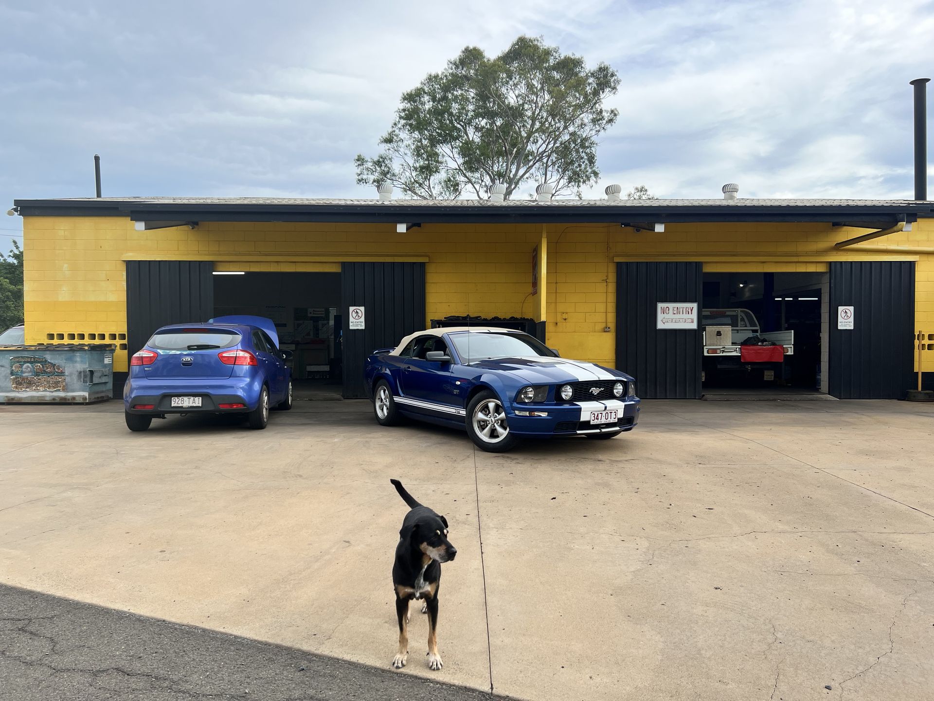 Blue Convertible Mustang and Blue Hatchback Parked — Bundaberg Radiator and Mechanical Service in Bundaberg East, QLD