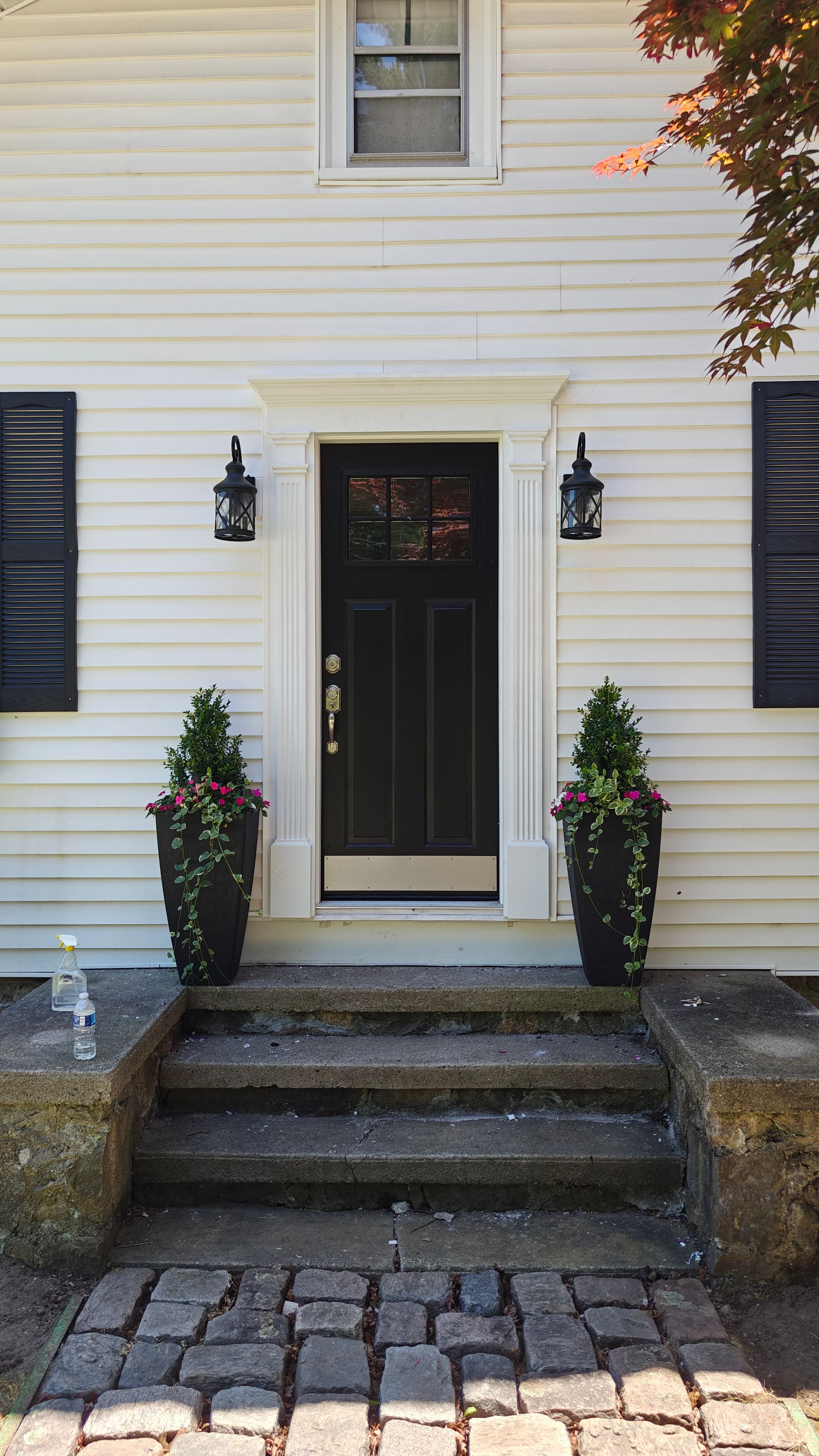 Front entrance of a house with black door, white siding, steps, and potted plants
