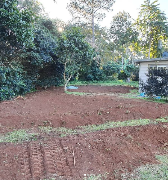 Septic Installation With Absorption Trenches — Cape Byron Plumbing in Byron Bay, NSW