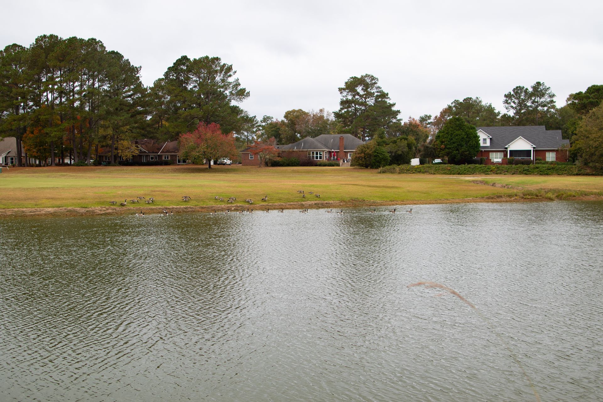 photo of lake