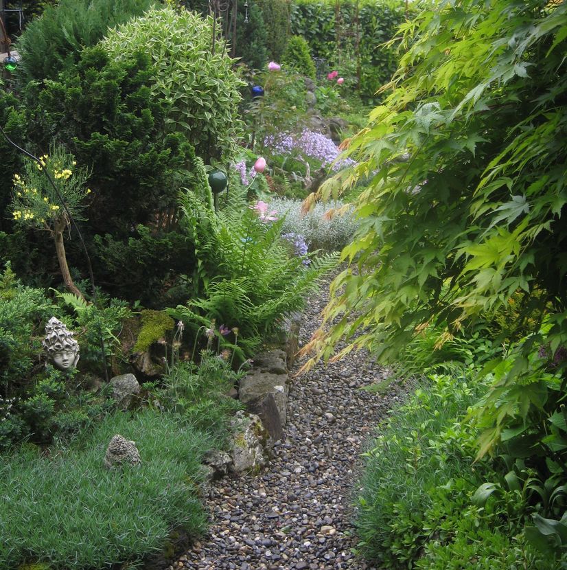 Bild von wunderschöner Garten
