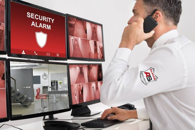 View Almas Security product page. We offer a wide range of solutions