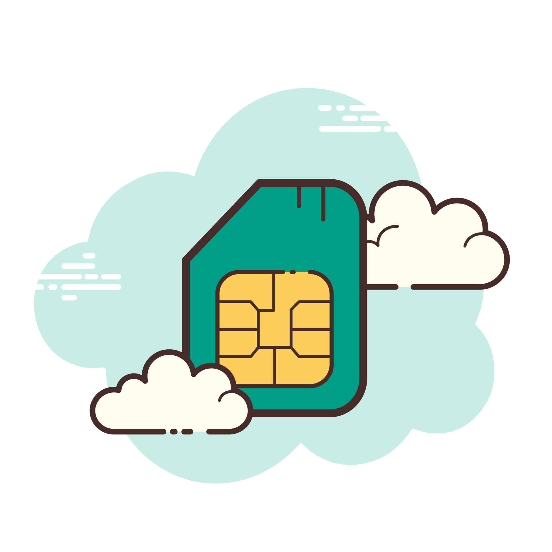 carte sim