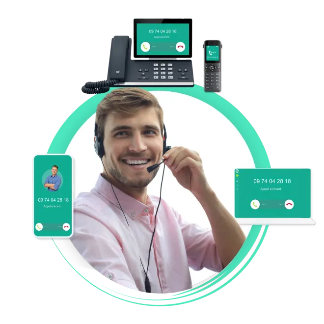 standard telephonique flexip