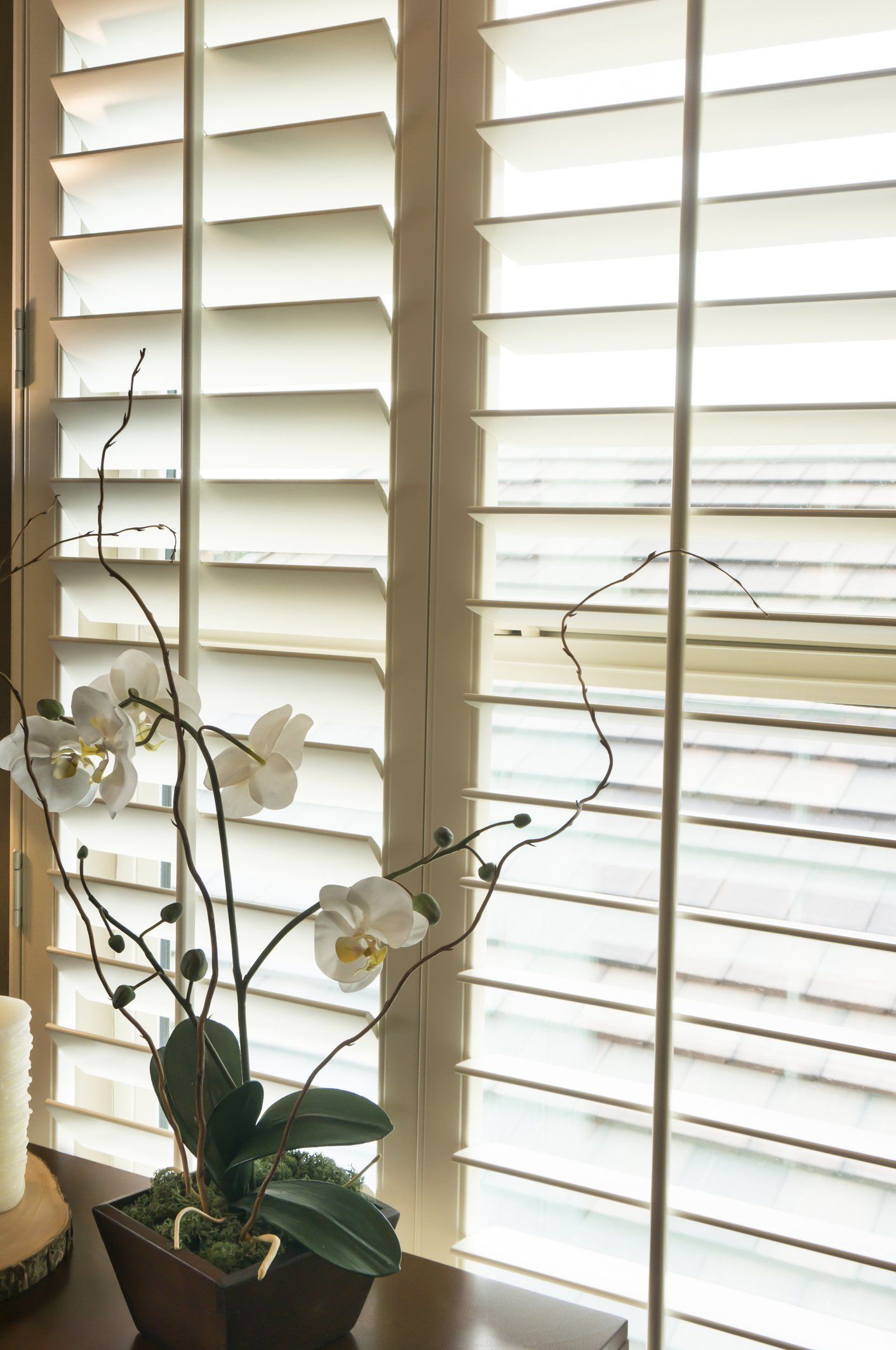 White shutters frame a window with an orchid plant in front.