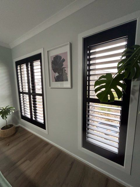 Two black shuttered windows with white trim, a framed print, and a potted plant in a room with light green walls.