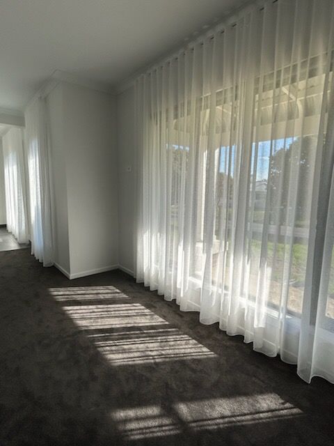 Sunlit room with sheer white curtains, dark carpet, and sunlight shadows.