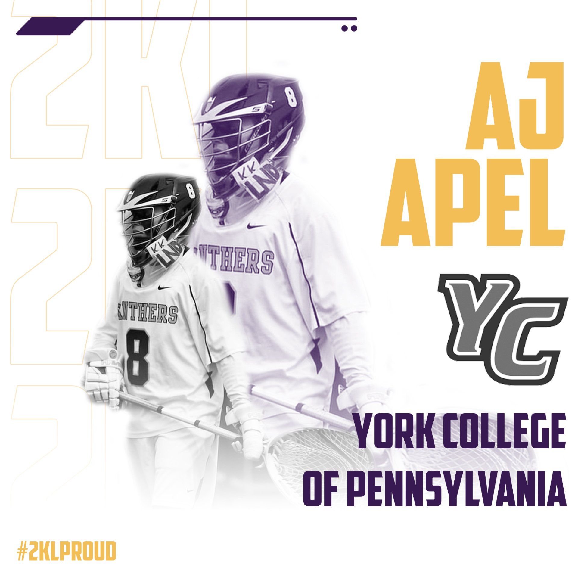 A lacrosse poster for york college of pennsylvania