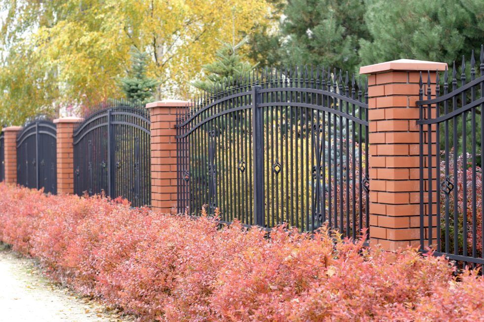 Fence with landscaping Fence with landscaping