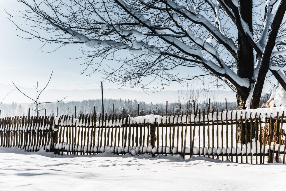 Fence in snow Fence in snow