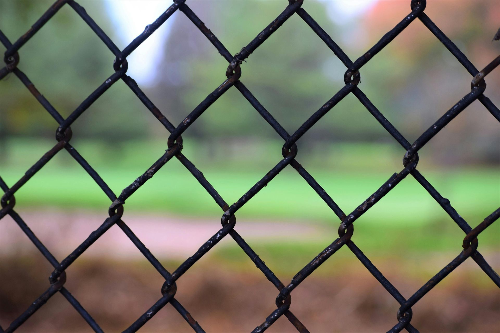 Chain Link Fence