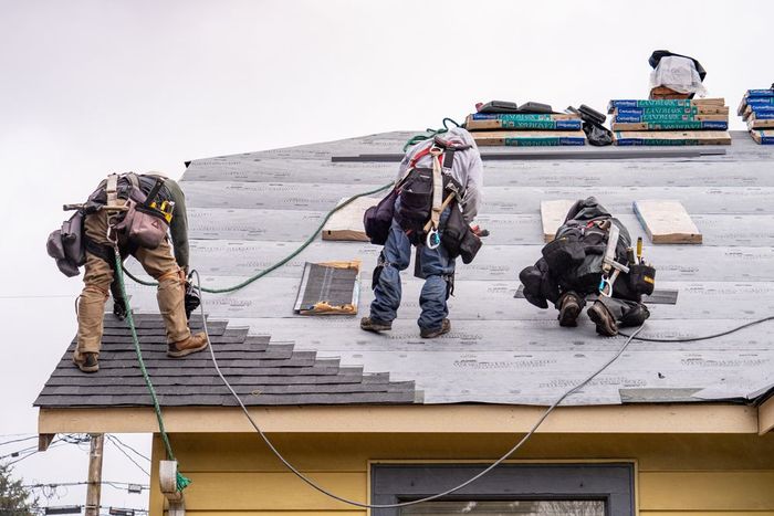 Professional Workers Installing New Shingles for Residential