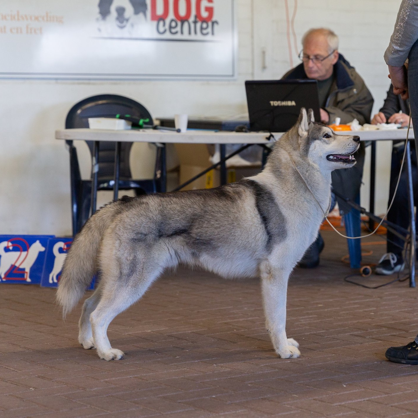 Gentle Shaman Tree Siberian Husky Kennel The Netherlands
