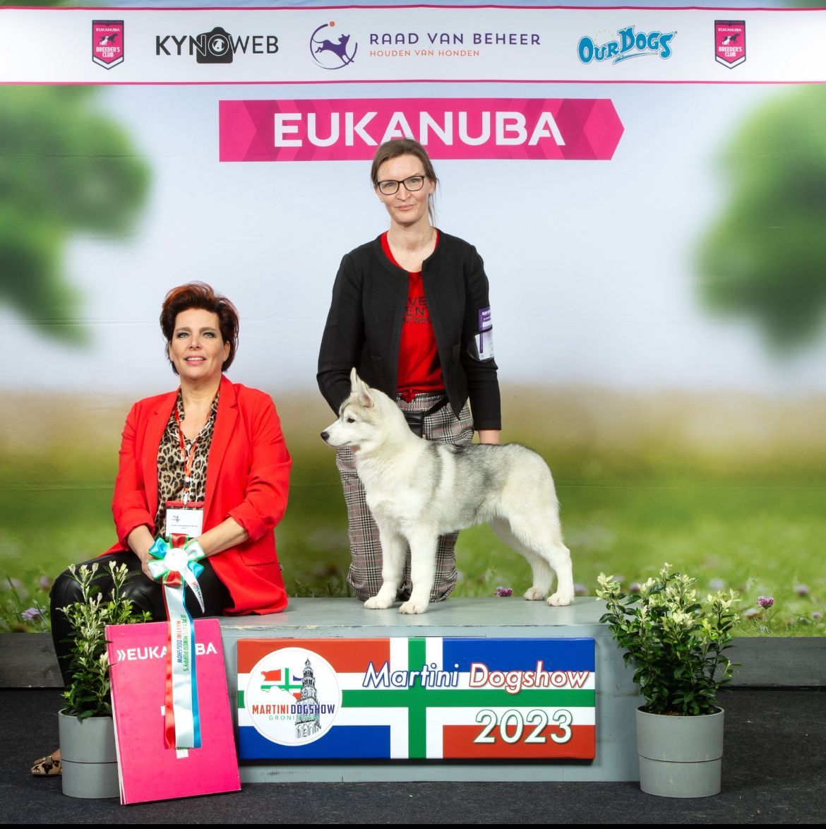 Ivy Shaman Tree Siberian Husky Kennel The Netherlands