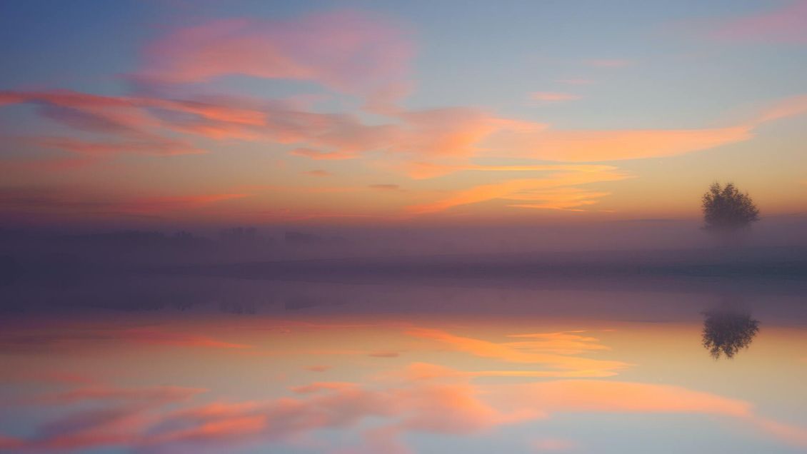 A foggy sunset over a lake with a tree in the distance.