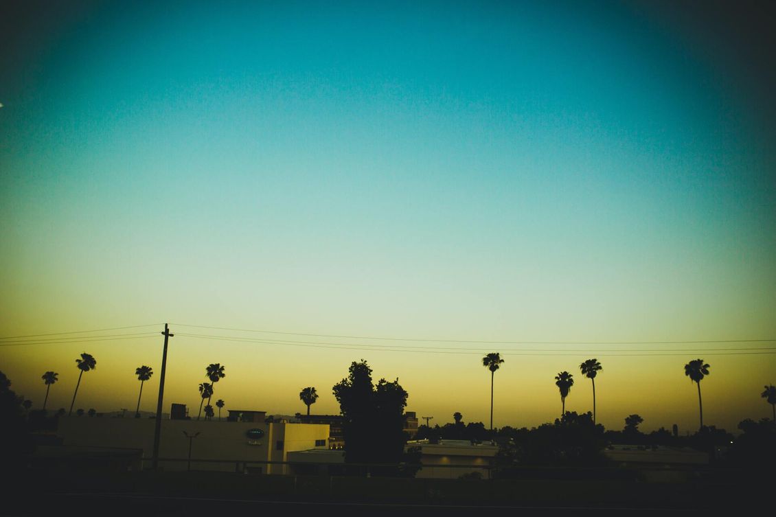 A sunset with palm trees in the foreground and a blue sky in the background