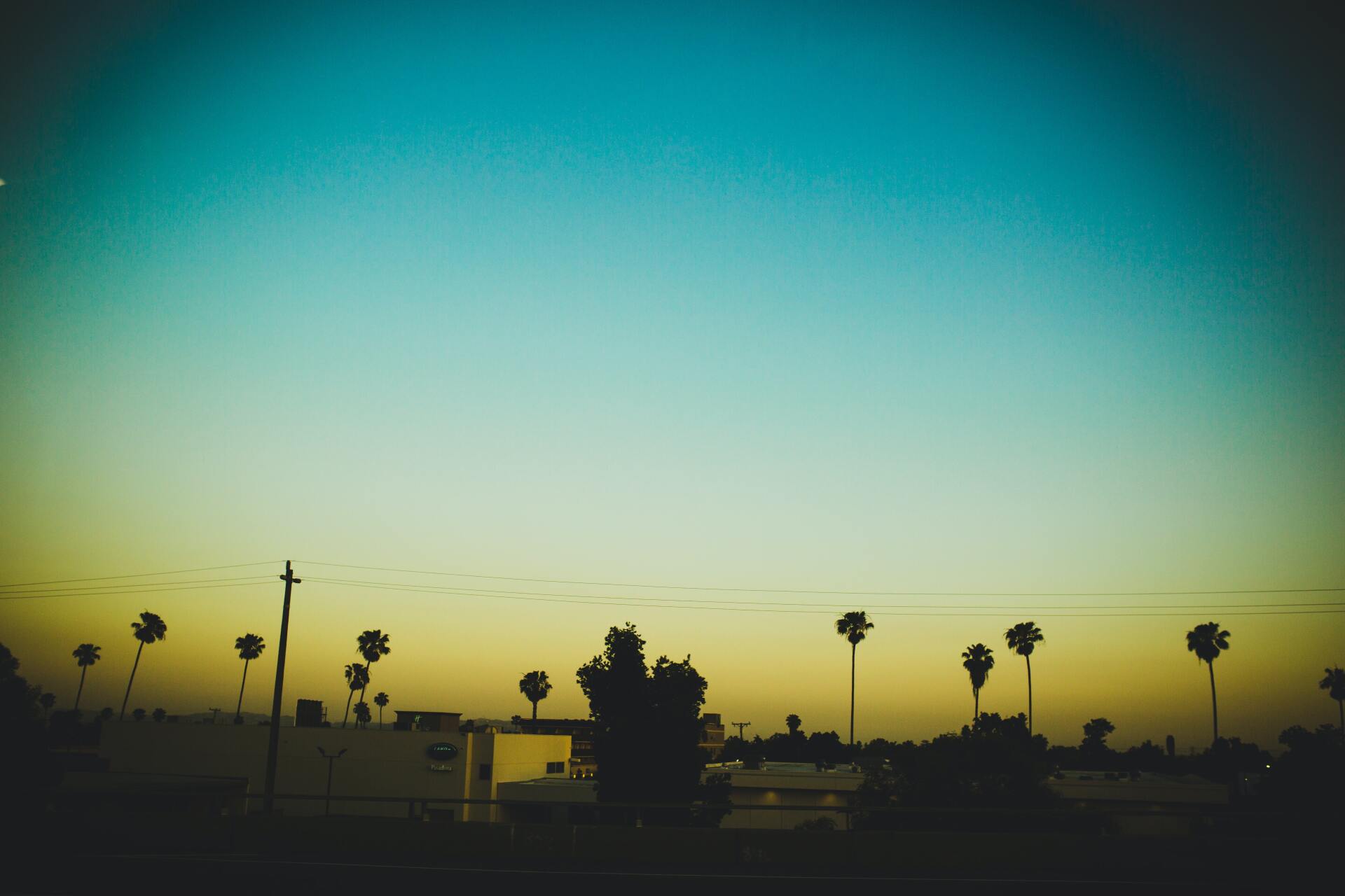 A sunset with palm trees in the foreground and a blue sky in the background