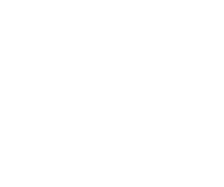 Empty white background.